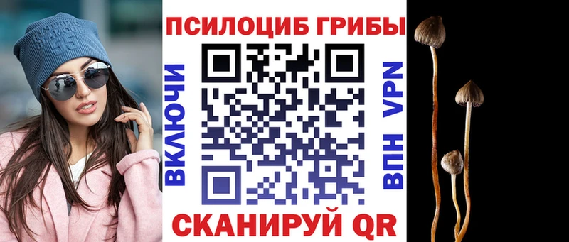 продажа наркотиков  hydra зеркало  Галлюциногенные грибы Magic Shrooms  Екатеринбург 